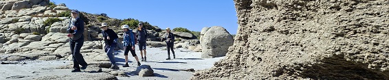 Karoo Panorama